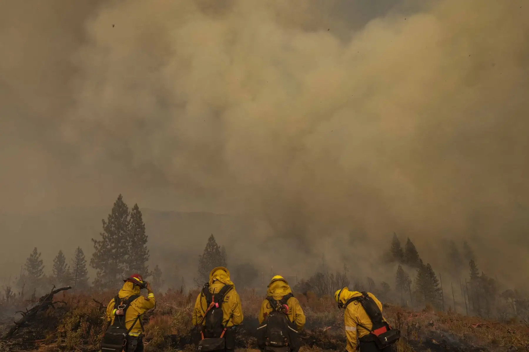 Más de 2000 bomberos respaldados por 17 helicópteros se han desplegado contra el Incendio Oak, que estalló el viernes cerca del Parque Nacional Yosemite. Foto: AFP