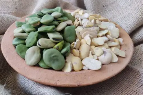 Las habas partidas son ricas en vitamina A que benefician la piel, así como en vitamina B1 que es fundamental para el sistema nervioso.