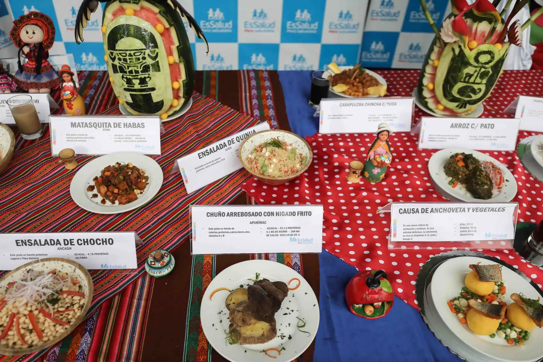 Causa de anchoveta, sangrecita con tamalitos verdes, ensalada de tarwi, minitacachos con cecina, ceviche de camu camu, entre otros suculentos potajes, son algunas de las opciones saludables para este 28 y 29 de julio. Foto: ANDINA/EsSalud