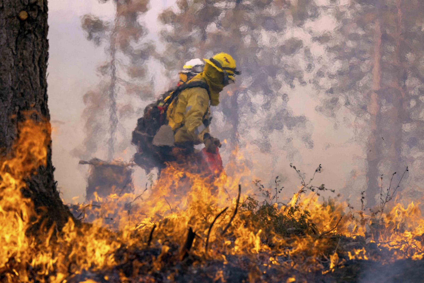 La región está viviendo con más frecuencia climas extremos, con temporadas de incendios más largas y voraces. Foto: AFP