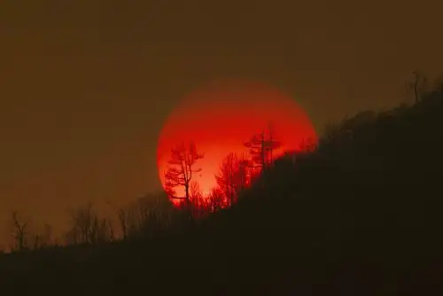 El calentamiento global y el cambio climático son problemáticas vigentes que generan una gran preocupación para la población mundial debido a los impactos que podrían generar en varios aspectos cotidianos y actividades humanas. No obstante, estos términos suelen ser utilizados y entendidos de manera confusa: ¿qué significa cada uno de ellos?, ¿cómo se relacionan o articulan?