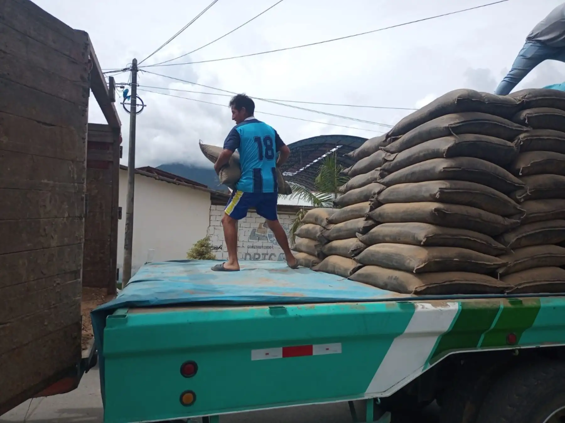 Agro Rural comercializa primer lote de guano de islas en Pasco, Oxapampa y Villa Rica