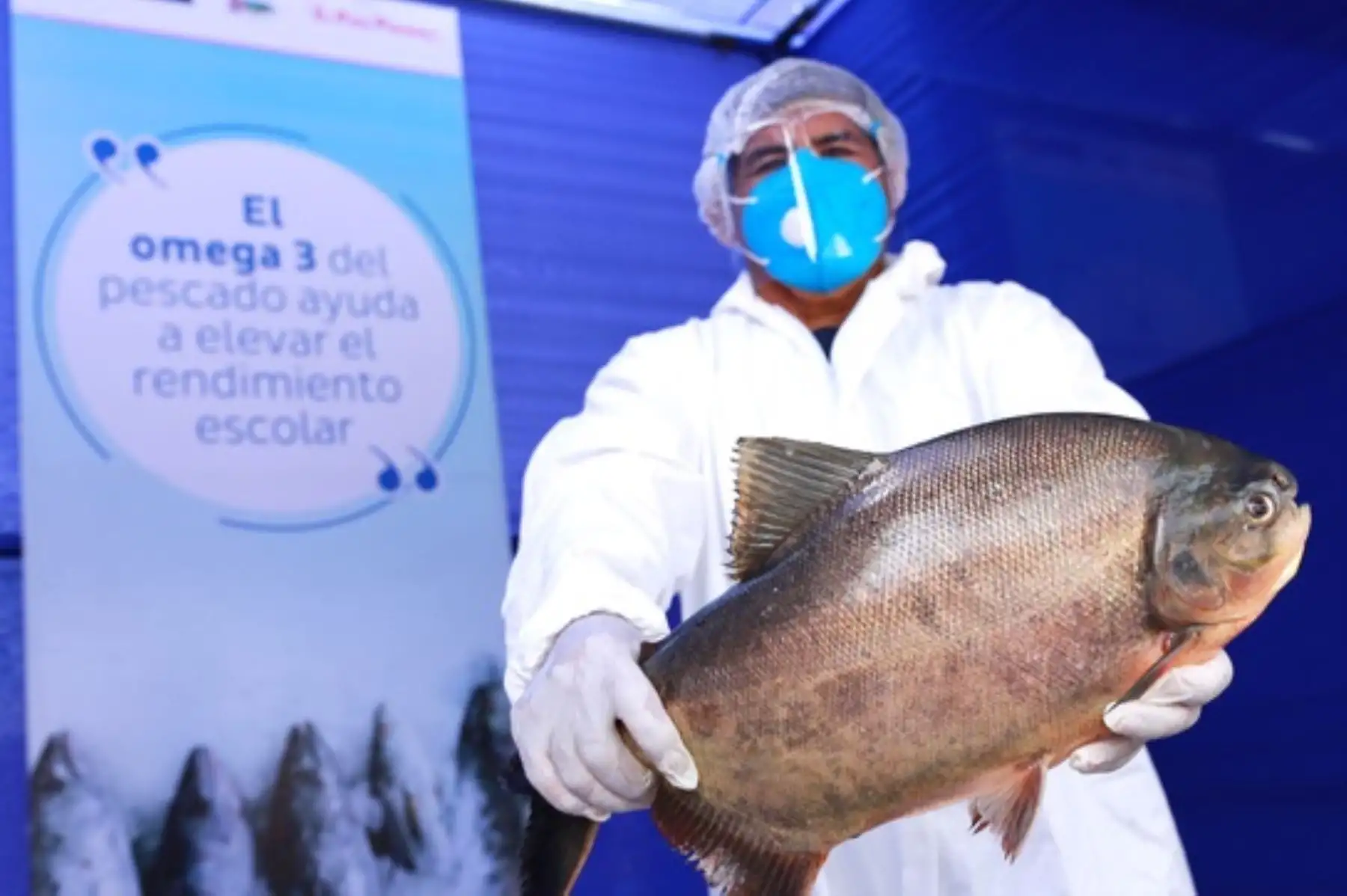 Programa nacional "A Comer Pescado", impulsa la venta directa al público a precios económicos de los productos hidrobiológicos. Foto: Cortesía.