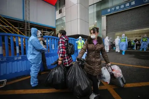 El estudio concluye que era poco probable que hubiese circulación en humanos antes de noviembre de 2019. Foto: AFP