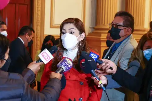 Declaraciones a la prensa de la presidenta del Congreso, Lady Camones. Foto: ANDINA/Andrés Valle.