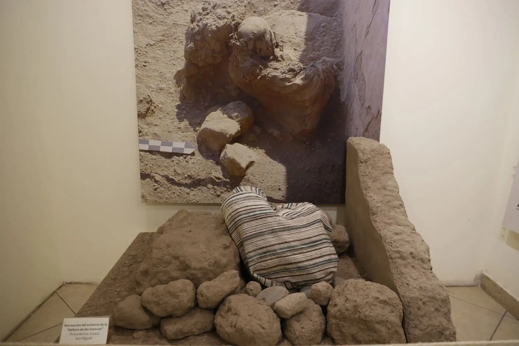 Parque de las Leyendas inaugurará una importante y única expresión de nuestro desarrollo prehispánico. En ella se
resaltarán la contemporaneidad y los logros alcanzados por las culturas Lima y Mochica;Foto: ANDINA/Melina Mejía
