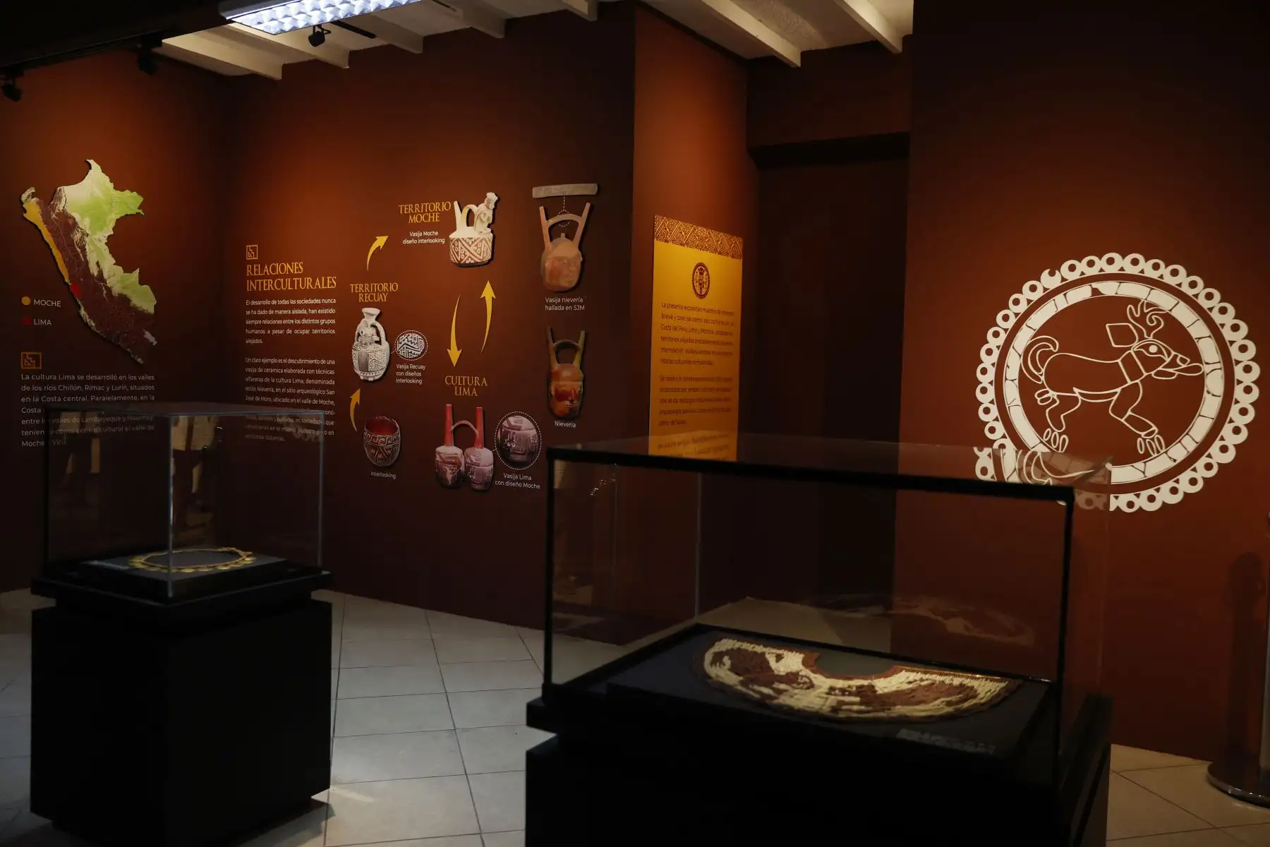 La exhibición estará abierta al público en el Museo de Sitio Ernst Middendorf del
Parque de las Leyendas y es la mejor alternativa para conocer más del Señor de
Sipán sin necesidad de salir de Lima. Foto: ANDINA/Melina Mejía