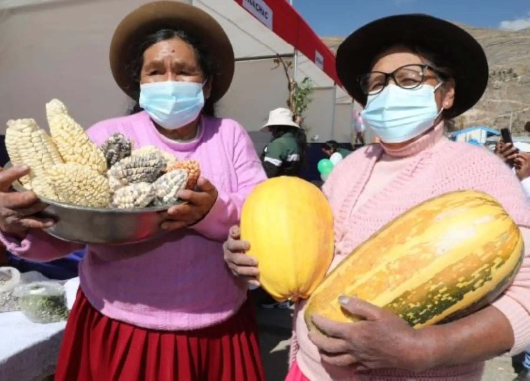 Pensión 65:más de 30,000 usuarios demuestran sus capacidades gracias a Saberes Productivos