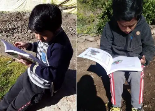 El presidente Pedro Castillo afirmó que su gobierno busca elevar índices de hábito de lectura en los niños del ámbito rural y urbano. Foto: ANDINA/archivo.