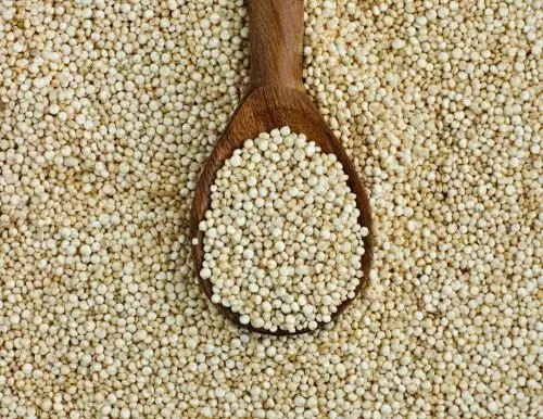 Concytec financia una investigación científica en la región Apurímac que propone impulsar el consumo del basul, un producto que destaca por sus cualidades nutricionales. ANDINA/Difusión