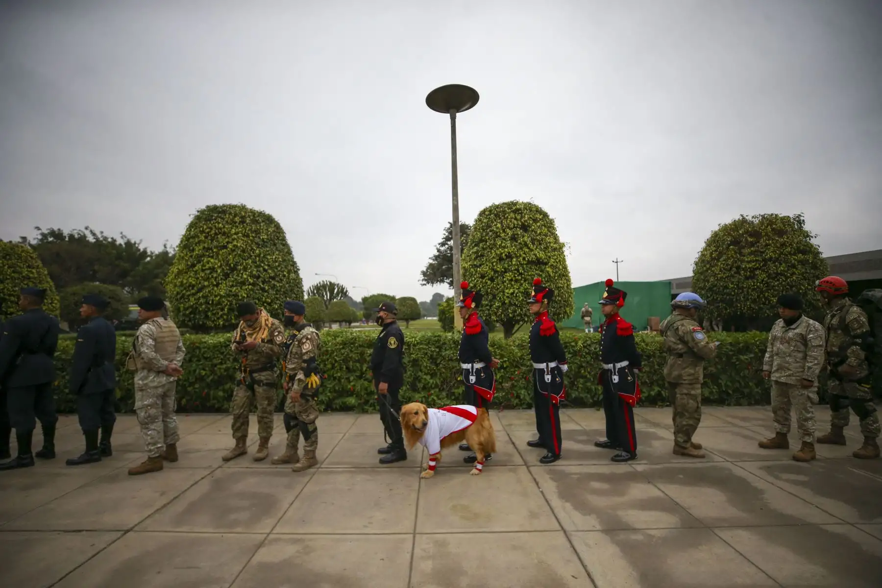 Imágenes previas al la Gran Parada y Desfile Militar en el Cuartel General del Ejército, como parte de los actos conmemorativos por el 201 aniversario de la Independencia del Perú. Foto: ANDINA/ Carla Patiño