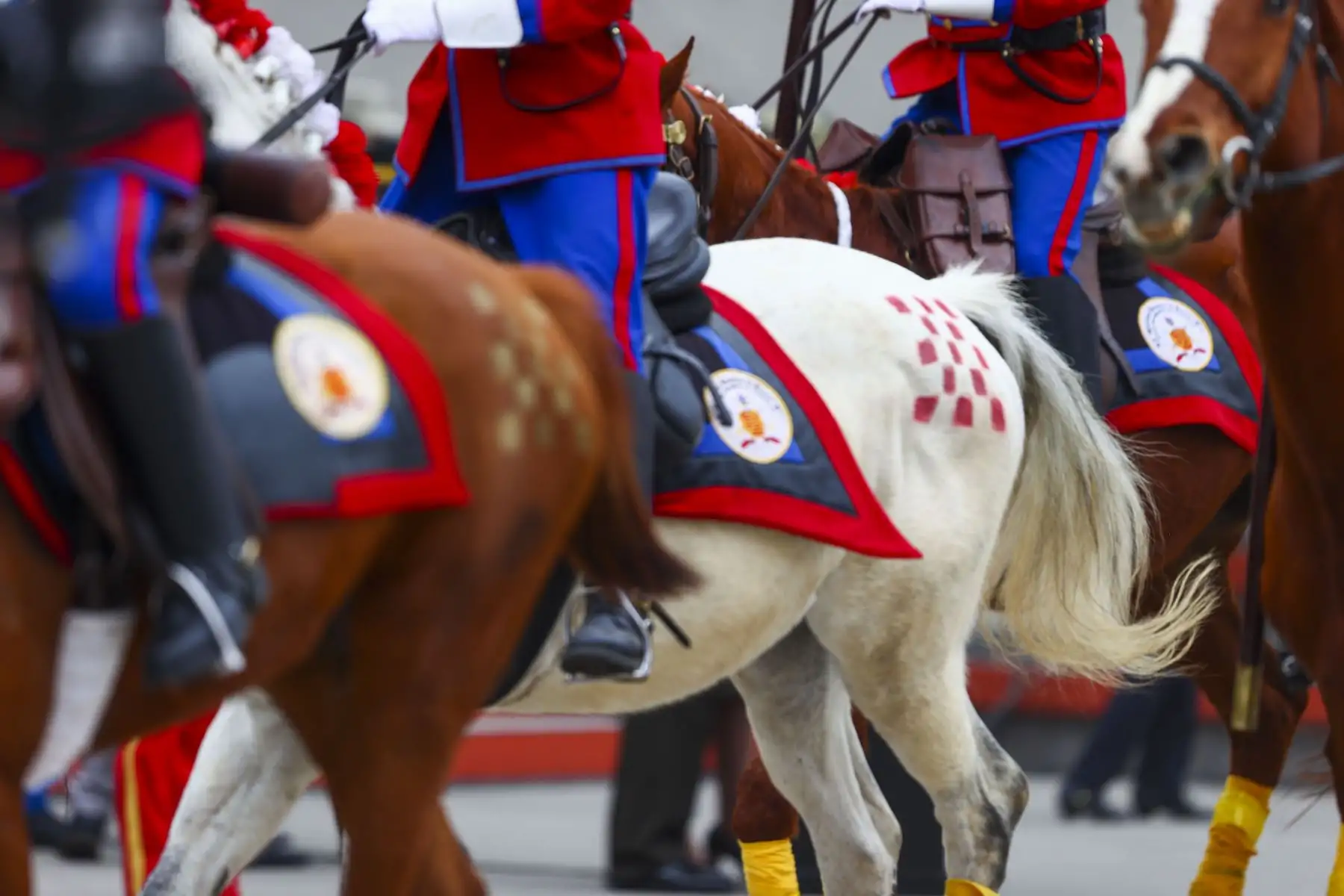 Unidades de Caballería, Farandola del Ejército del Perú, Policía Montada, Regimiento Domingo Nieto, Húsares de Junín, participan del desfile en el Cuartel General del Ejército, como parte de los actos conmemorativos por el 201 aniversario de la Independencia del Perú. Foto: ANDINA/ Andrés Valle