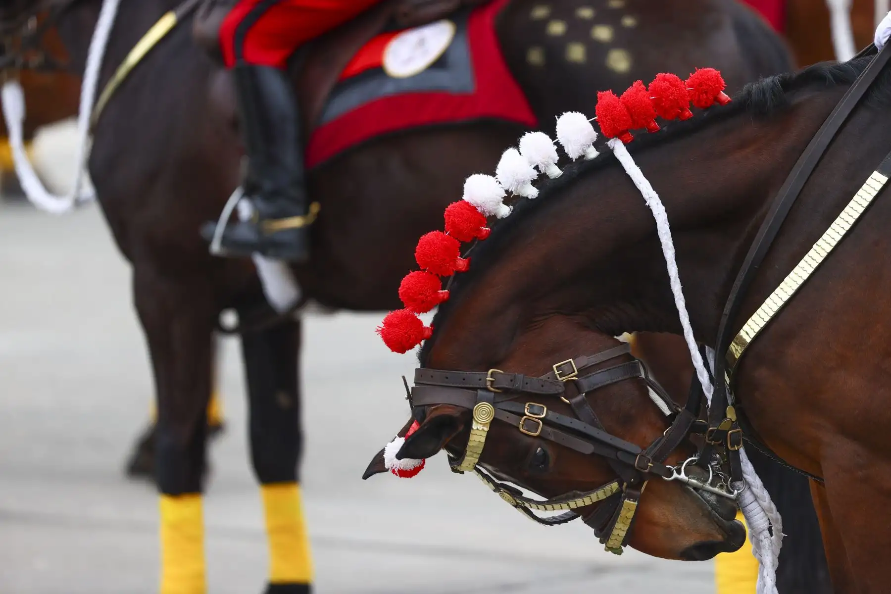 Unidades de Caballería, Farandola del Ejército del Perú, Policía Montada, Regimiento Domingo Nieto, Húsares de Junín, participan del desfile en el Cuartel General del Ejército, como parte de los actos conmemorativos por el 201 aniversario de la Independencia del Perú. Foto: ANDINA/ Andrés Valle