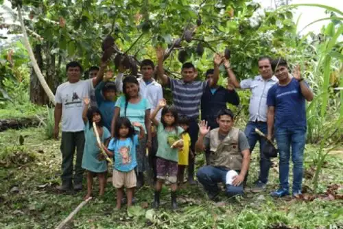 A través de las Transferencias Directas Condicionadas, las comunidades socias de dicho programa, con convenios vigentes, fortalecen la gestión de su territorio, desarrollan actividades productivas sostenibles y mejoran la vigilancia de sus bosques.