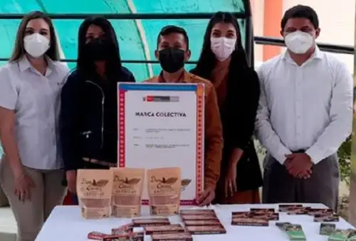 Los productores que recibieron sus marcas colectivas se dedican a la crianza de gallinas y venta de huevos, a la elaboración de productos a base de cacao y al tratamiento de materiales, reciclaje de residuos sólidos y desechos; recolección, clasificación y eliminación de residuos sólidos; y, tratamiento y valorización de residuos sólidos orgánicos e inorgánicos.