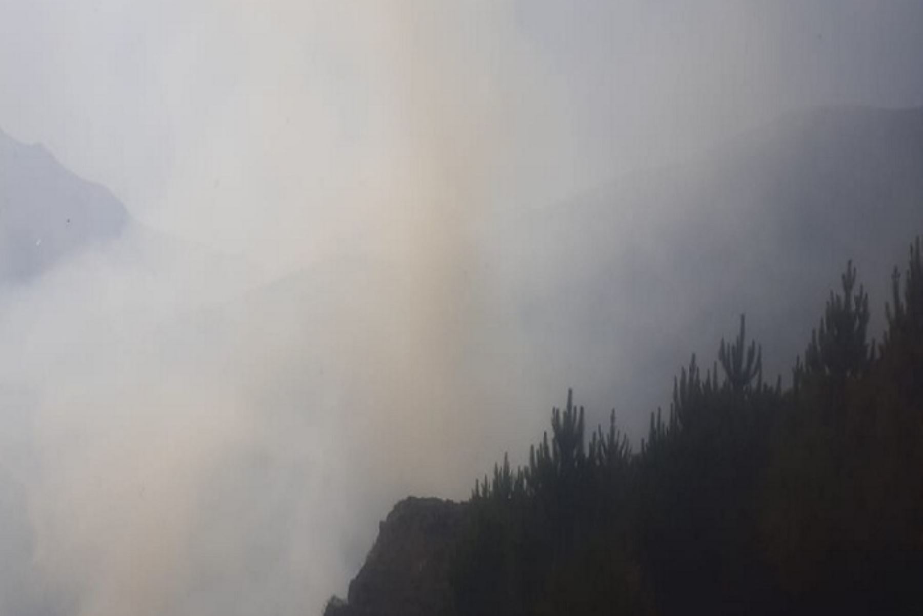 Incendio forestal al este de Huaraz consume dos hectáreas de cobertura vegetal