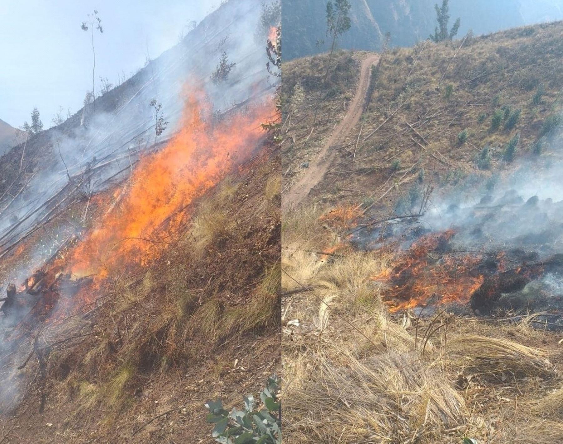 Alerta en Cusco por incendio forestal incontrolable que ya devasta más de 120 hectáreas de pastos en distrito de Lucre, provincia de Quispicanchi.