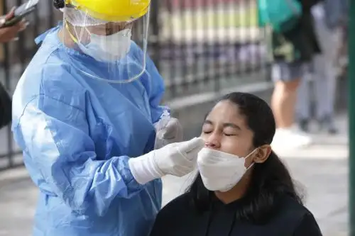 Solo el 31 de julio se registraron los resultados de 23,881 personas muestreadas, de las cuales 2,198 fueron casos sintomáticos confirmados de ese día. Foto: EsSalud