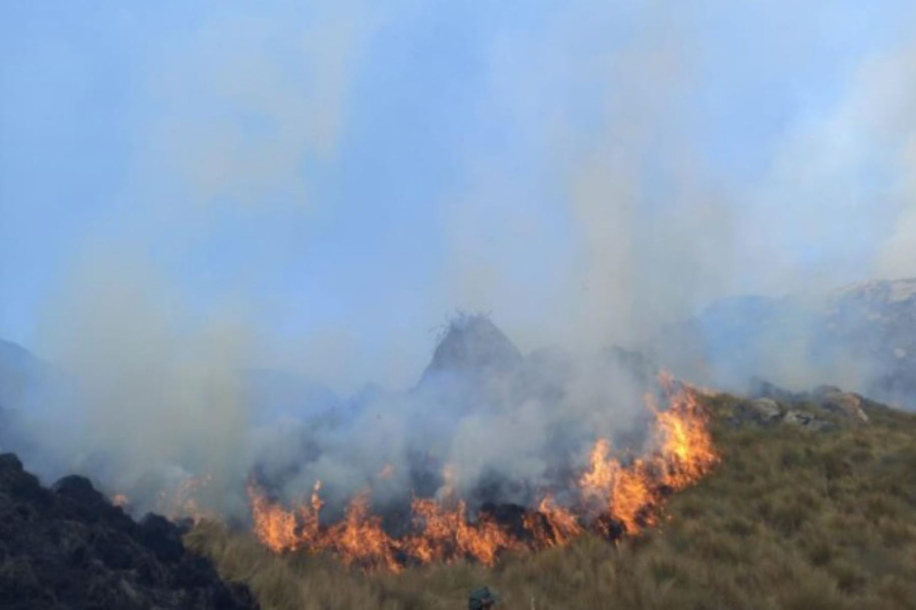 Los incendios forestales han sido controlados por guardaparques bomberos forestales con ayuda de policías, bomberos, serenos y comuneros. Foto: ANDINA/Sernanp