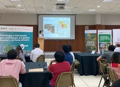 Con un taller de capacitación Osinfor busca mejorar plataforma geoespacial para identificar delitos ambientales.