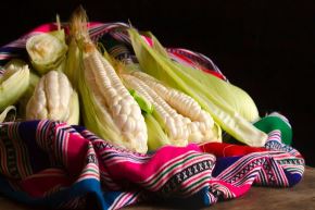 El maíz peruano posee un alto contenido de luteína que ayuda a proteger la vista. ANDINA/Difusión