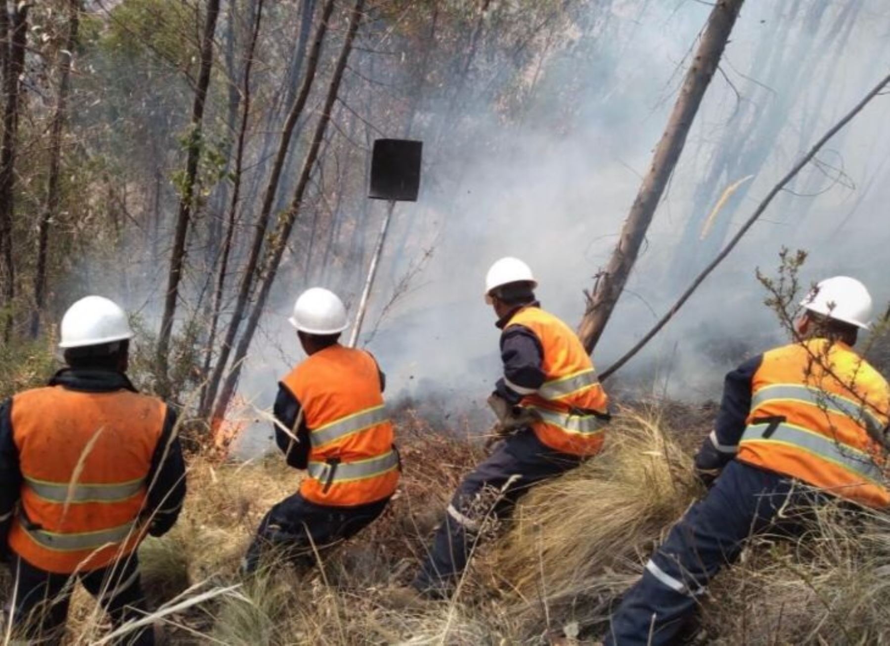 Los incendios forestales son uno de los principales problemas que enfrentan las regiones. Foto: ANDINA/difusión.
