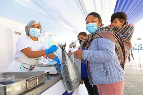 Cusco lidera el consumo de pescado durante agosto en todo el país al reportar más de 17 toneladas de productos hidrobiológicos consumidos. ANDINA/Difusión