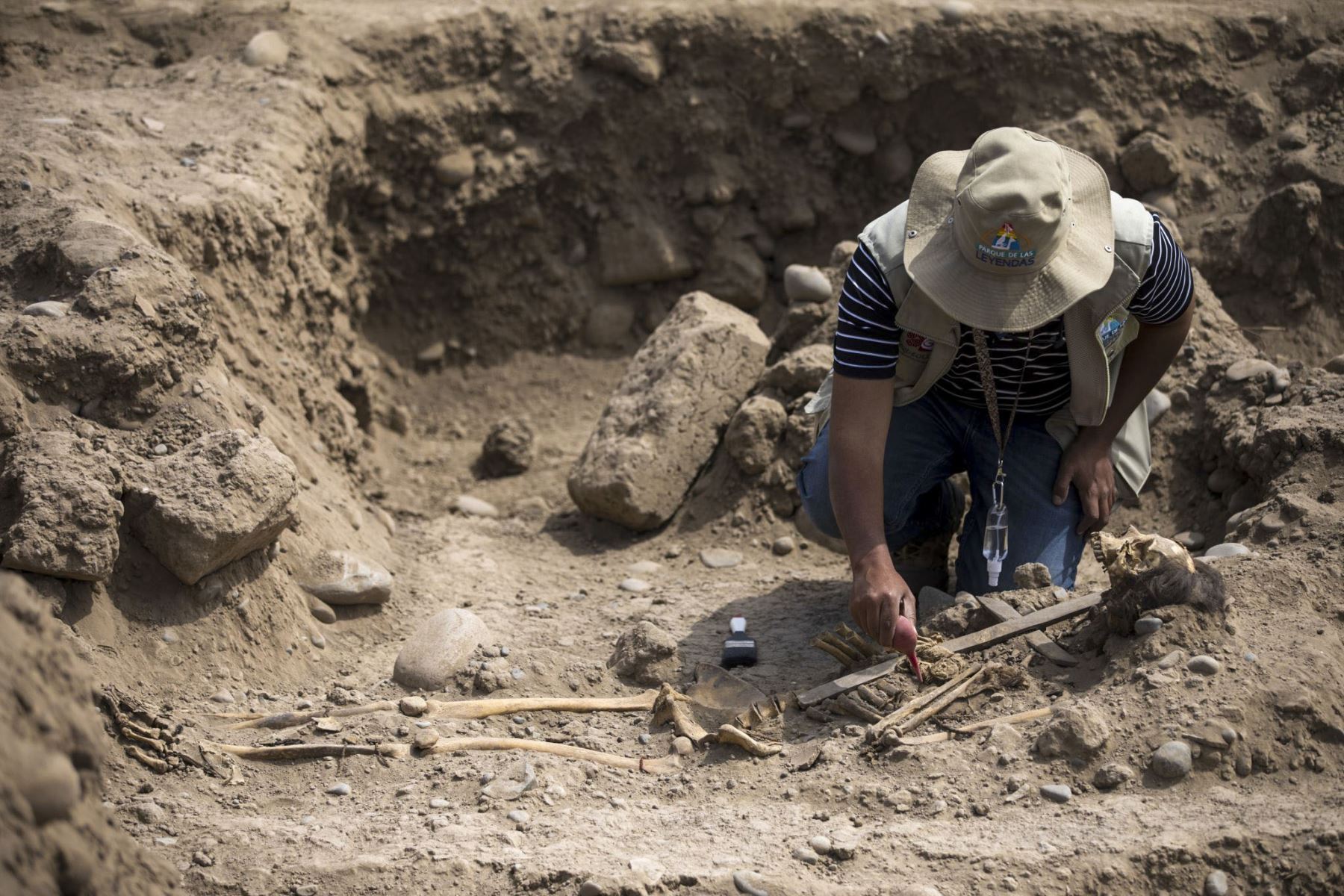 Descubren momias en la huaca Tres Palos del Parque de las Leyendas. Foto: ANDINA/Difusión
