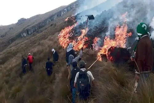 Los incendios forestales se propagan con mucha rapidez y generan pérdidas graves, empezando por la destrucción de la vegetación, el daño a la fauna silvestre y la contaminación del aire y el agua.