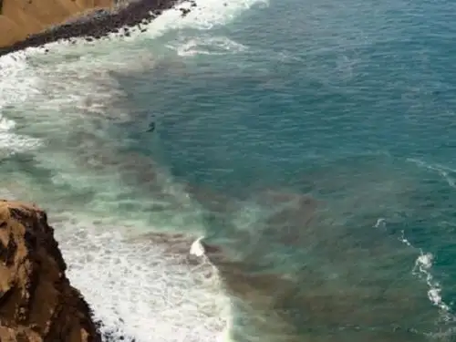 Un reporte del OEFA revela que 19 playas afectadas por el derrame de petróleo ocurrido en el mar de Ventanilla en enero de 2022 aún siguen contaminadas por hidrocarburos. ANDINA/Difusión