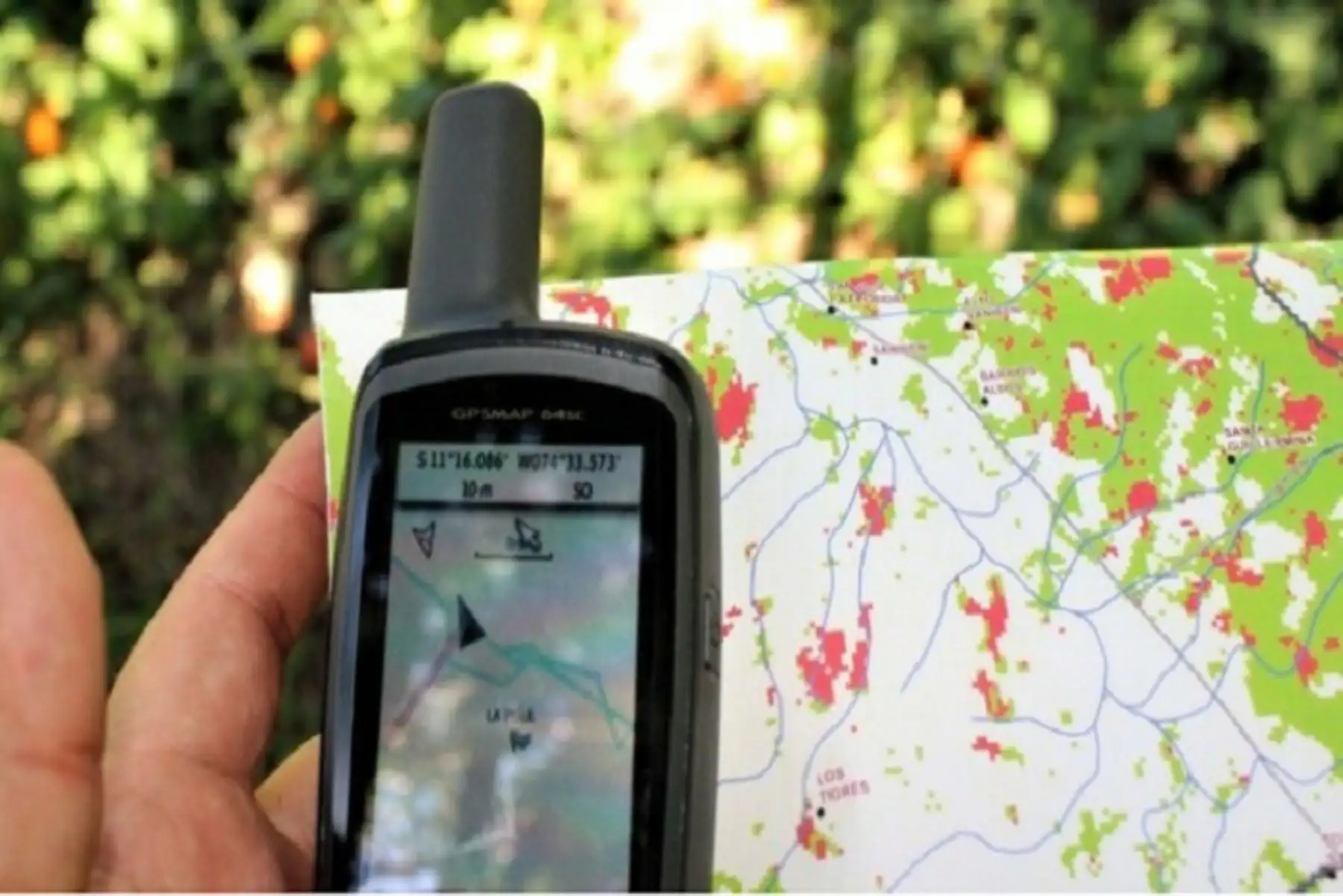 Geobosques cuenta con más de 4,500 usuarios y registra un total de 20,000 descargas de información.