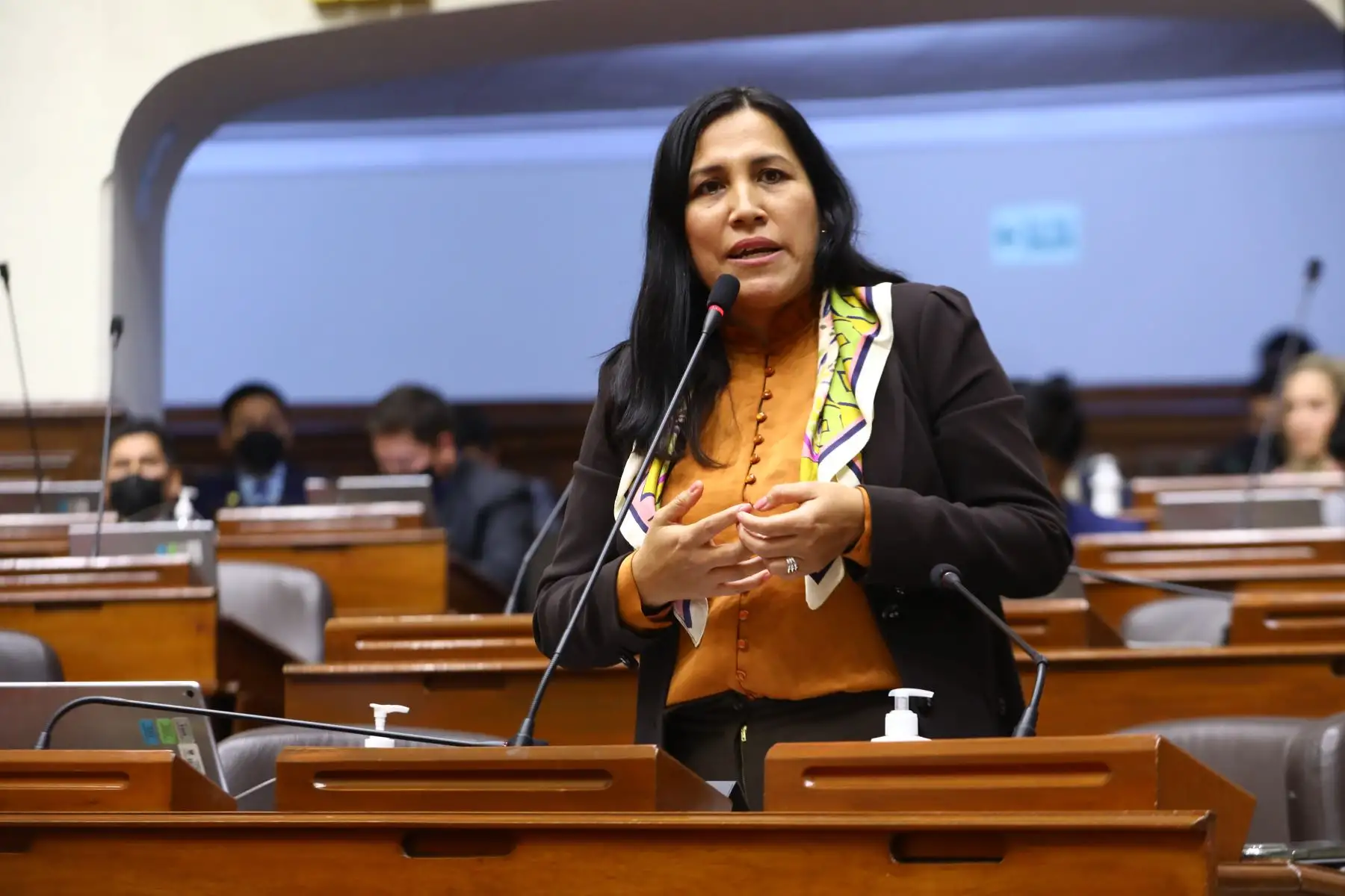 Congresista no agrupada Flor Pablo. ANDINA/Difusión
