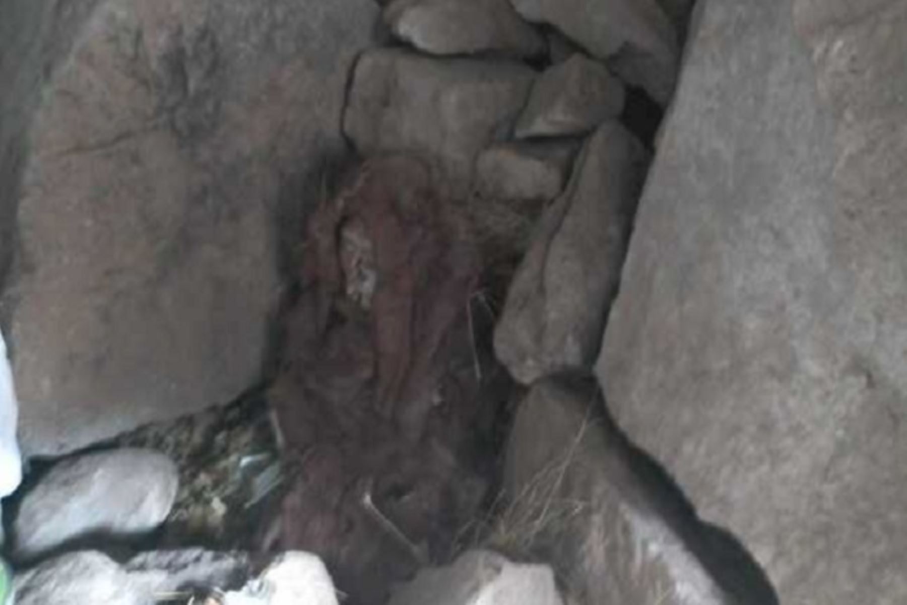 Las momias de Palcán fueron halladas al pie de una montaña en el caserío de Palcán, distrito de Huayllay.  ANDINA/Difusión