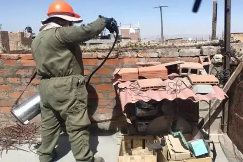 La Geresa Arequipa se declaró en alerta por presencia de chirimachas, insecto que transmite la enfermedad de Chagas.