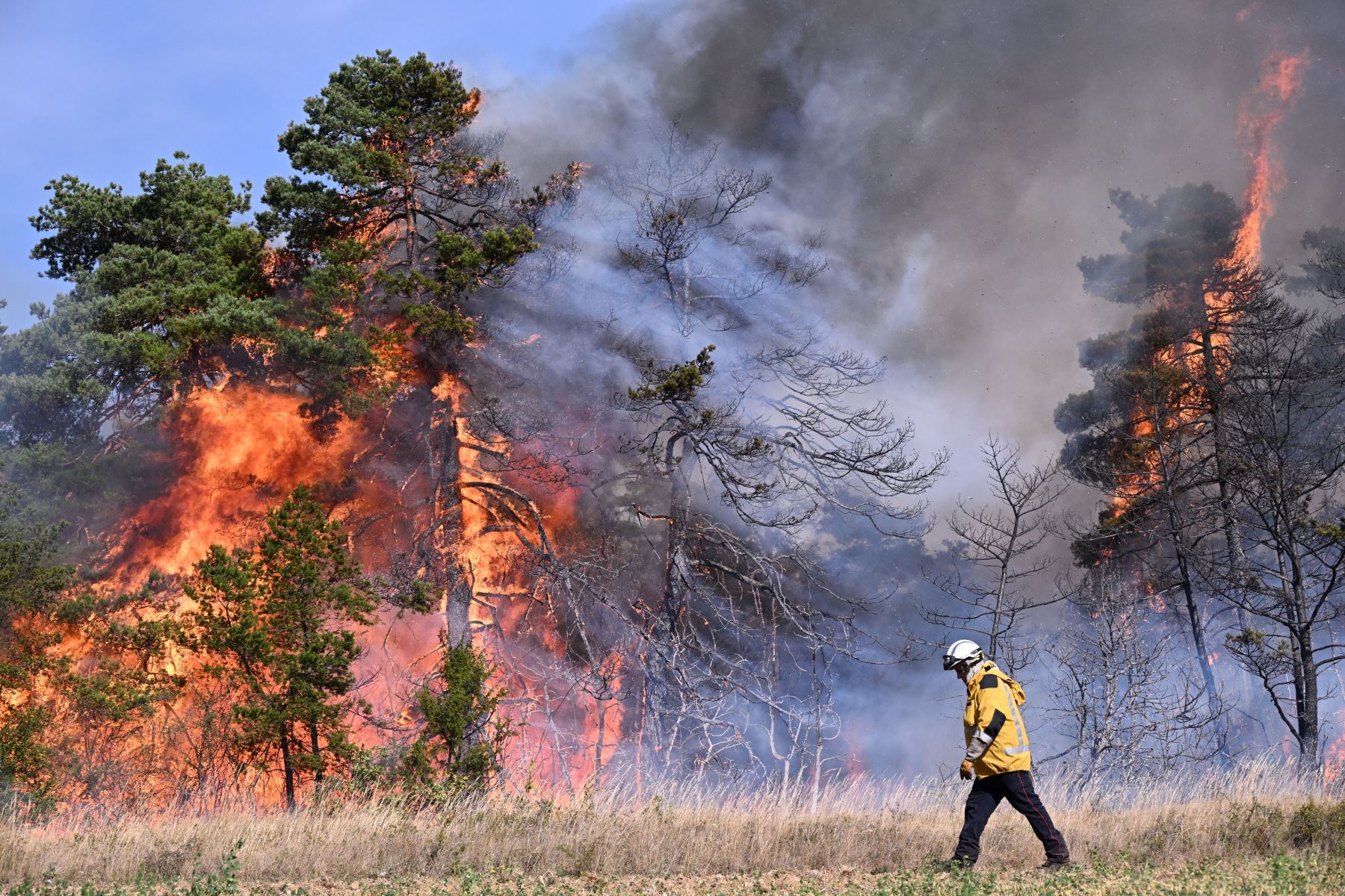 Un bombero camina frente a árboles en llamas durante un incendio forestal en Boyne, en el sur de Francia, en el "parque natural de Grands Causses".
Foto: AFP