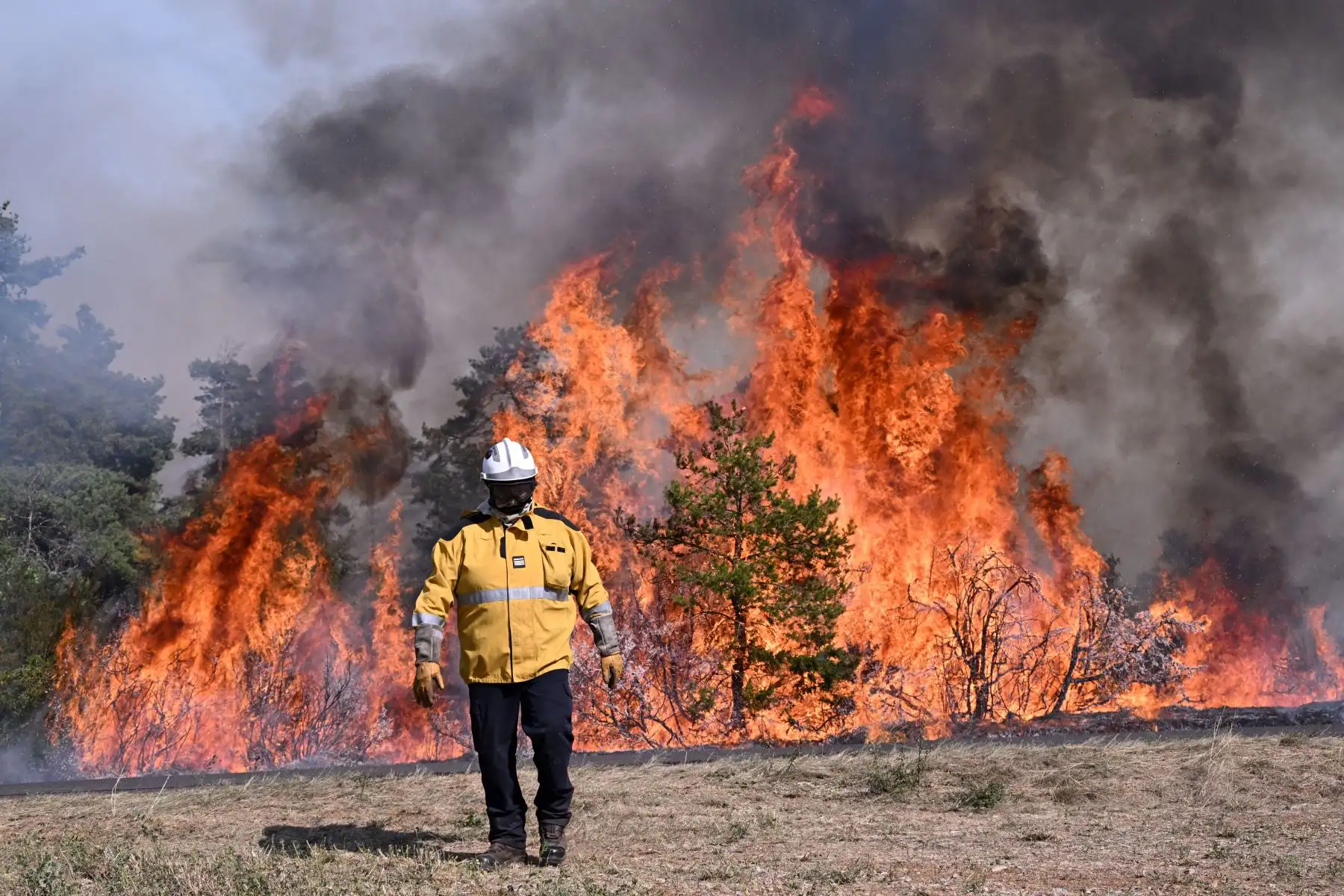 Un bombero camina frente a árboles en llamas durante un incendio forestal en Boyne, en el sur de Francia, en el "parque natural de Grands Causses".
Foto: AFP