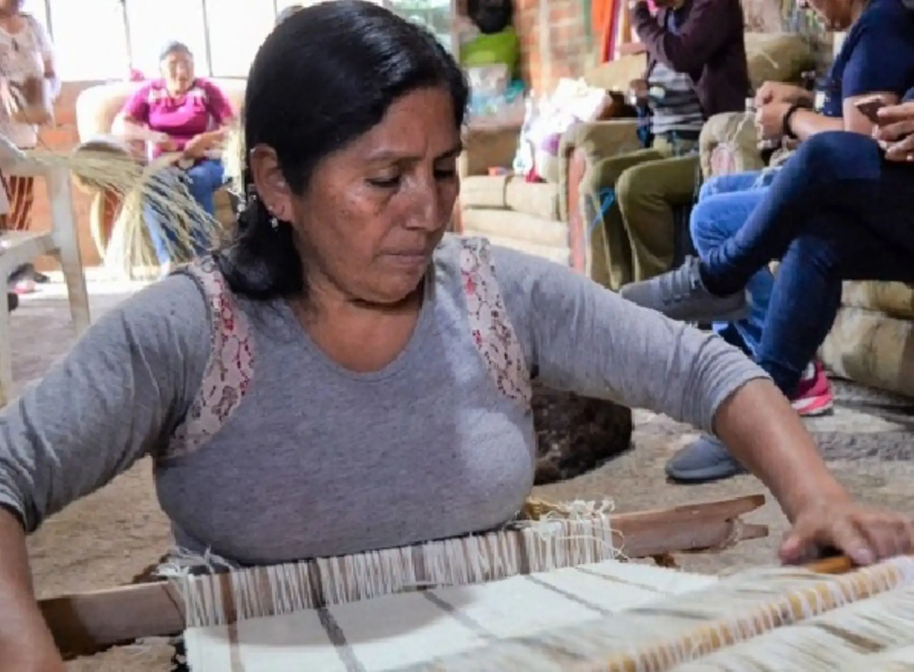 Un total de 13 asociaciones de productores de la región Pasco tramitan sus solicitudes de registros de marcas colectivas ante Indecopi.