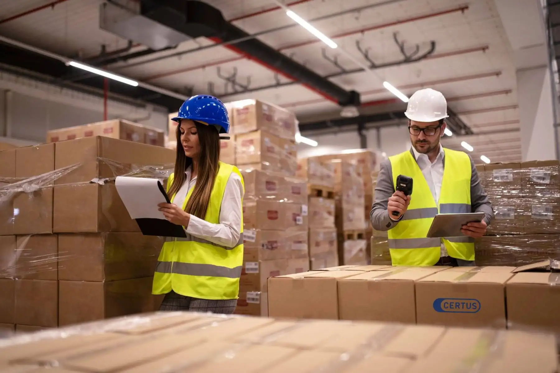 Pautas a seguir para tu negocio de importaciones. Cortesía
