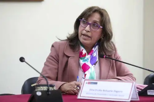 Foto: ANDINA/difusión.