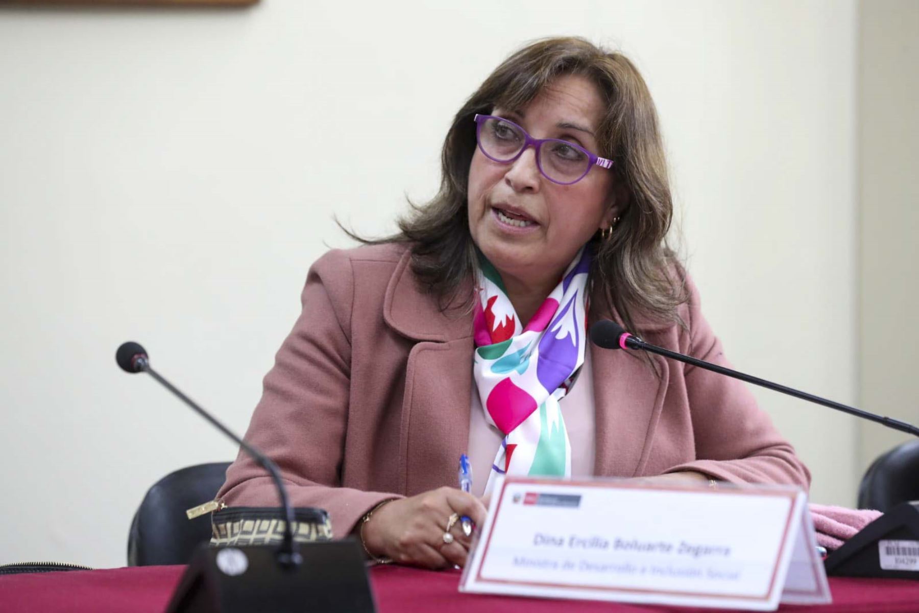 La ministra del Midis, Dina Boluarte, también anunció la creación de un nuevo programa social orientado a mujeres que son el sustento de sus familias. Foto: ANDINA.