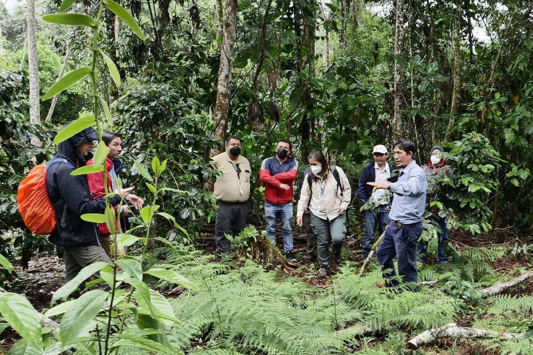 En el bosque de protección Alto Mayo se han registrado más de 500 especies de aves y alrededor de 300 especies de orquídeas. Foto: ANDINA/Sernanp