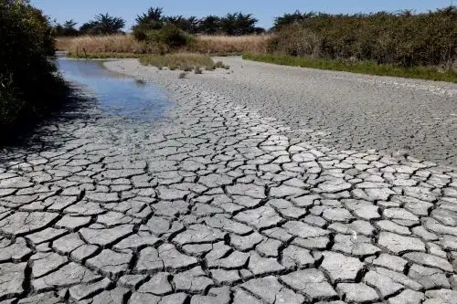 La Francia metropolitana atraviesa una sequía histórica, signo del cambio climático. Foto: AFP