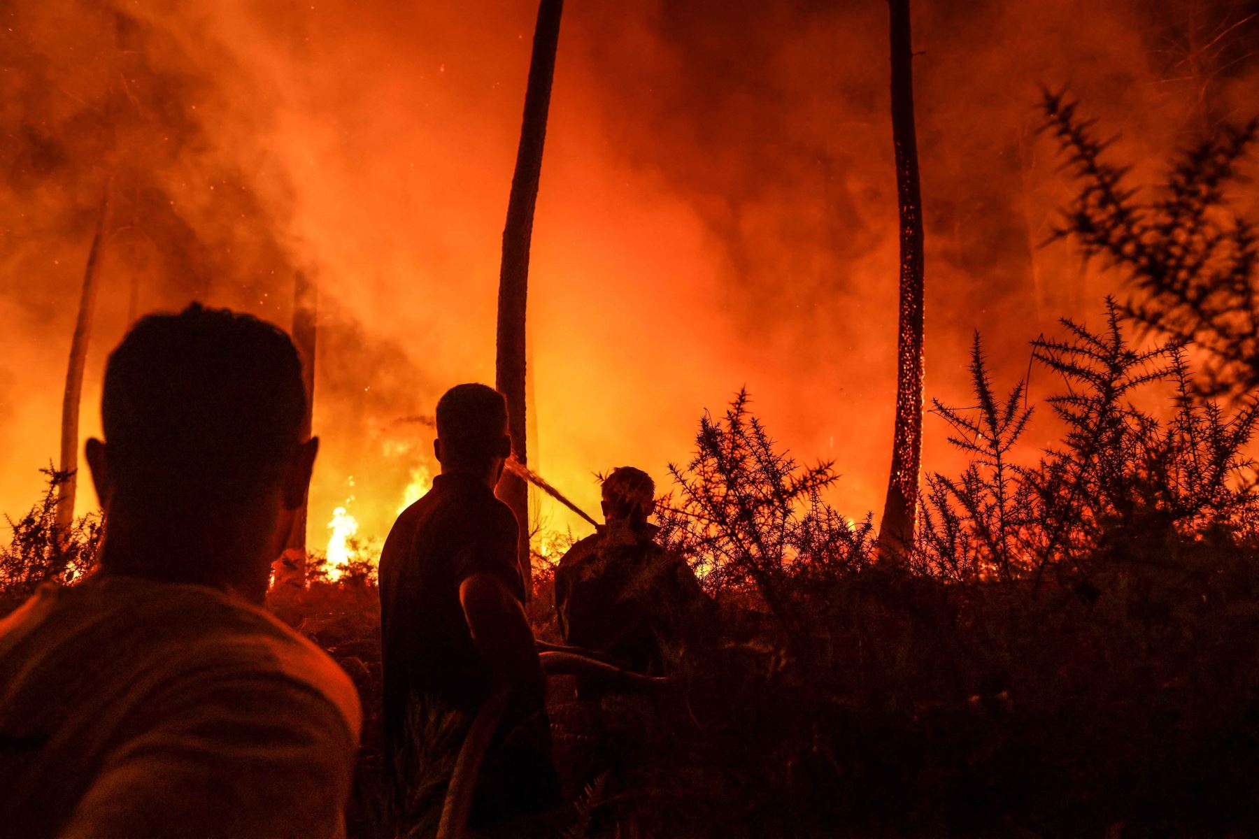 Agricultores voluntarios ayudan a combatir las llamas en un incendio forestal cerca de Belin-Beliet, suroeste de Francia. Foto: AFP