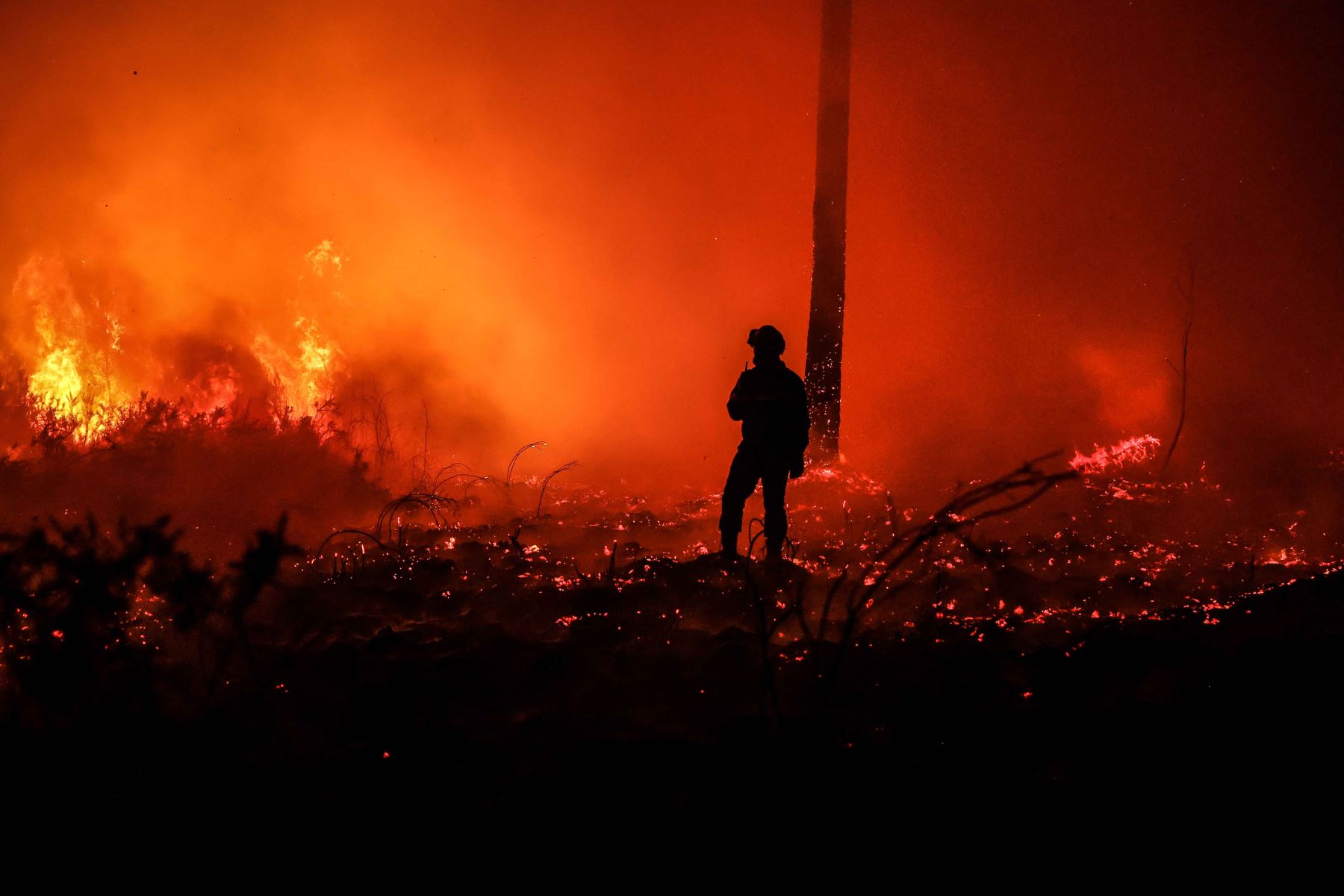 Bomberos trabajan en el lugar de un incendio forestal cerca de Belin-Beliet, suroeste de Francia. Foto: AFP