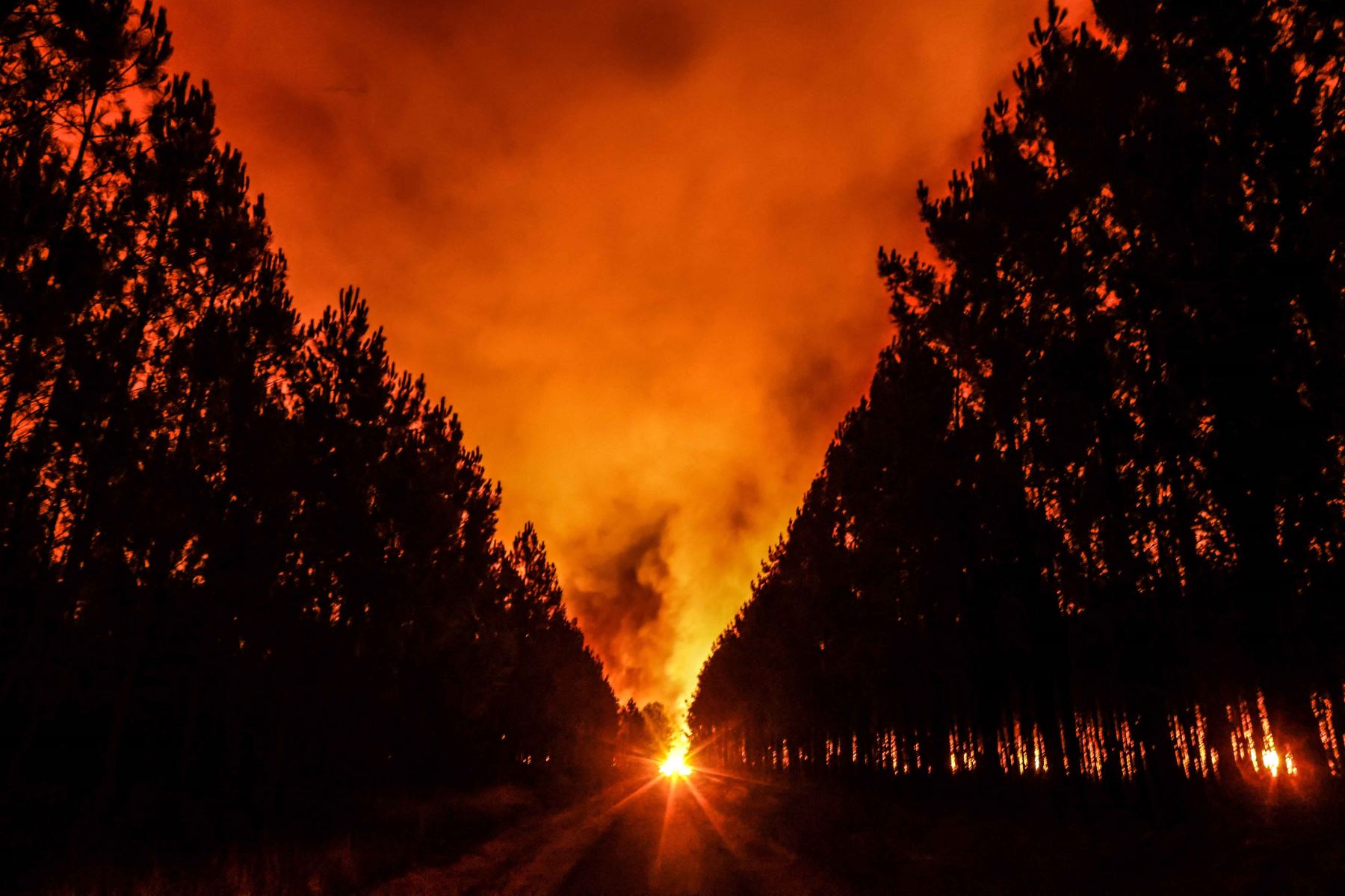 Autoridades francesas advirtieron que los brotes podrían causar que un incendio forestal masivo se extienda aún más en el seco suroeste del país, donde los nuevos incendios ya han ennegrecido franjas de tierra esta semana. Foto: AFP