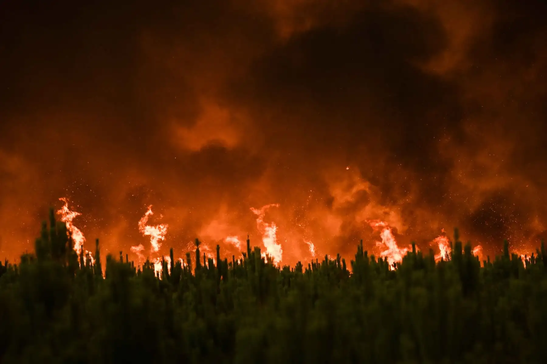 Autoridades francesas advirtieron que los brotes podrían causar que un incendio forestal masivo se extienda aún más en el seco suroeste del país, donde los nuevos incendios ya han ennegrecido franjas de tierra esta semana. Foto: AFP