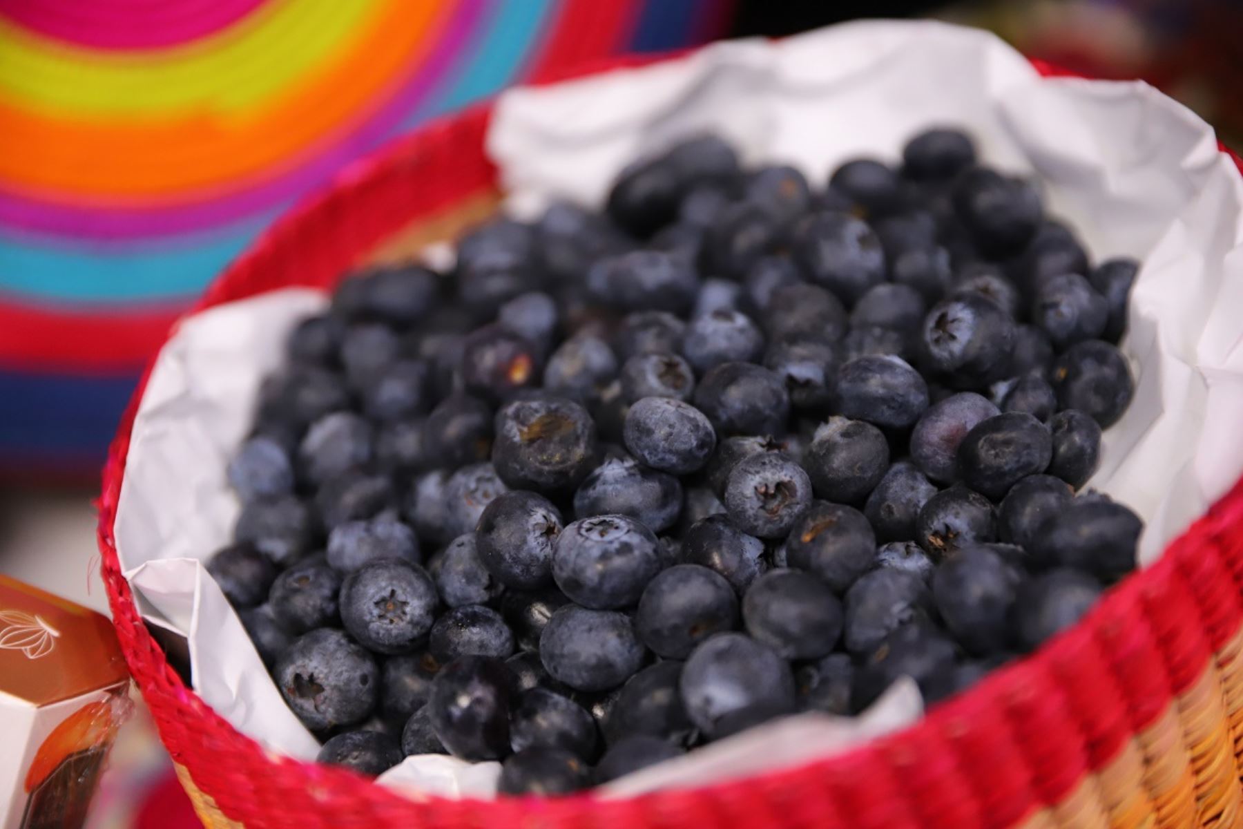 Con un crecimiento del 25% durante el 2022, el país se consolidó como líder mundial en exportaciones de berries.
