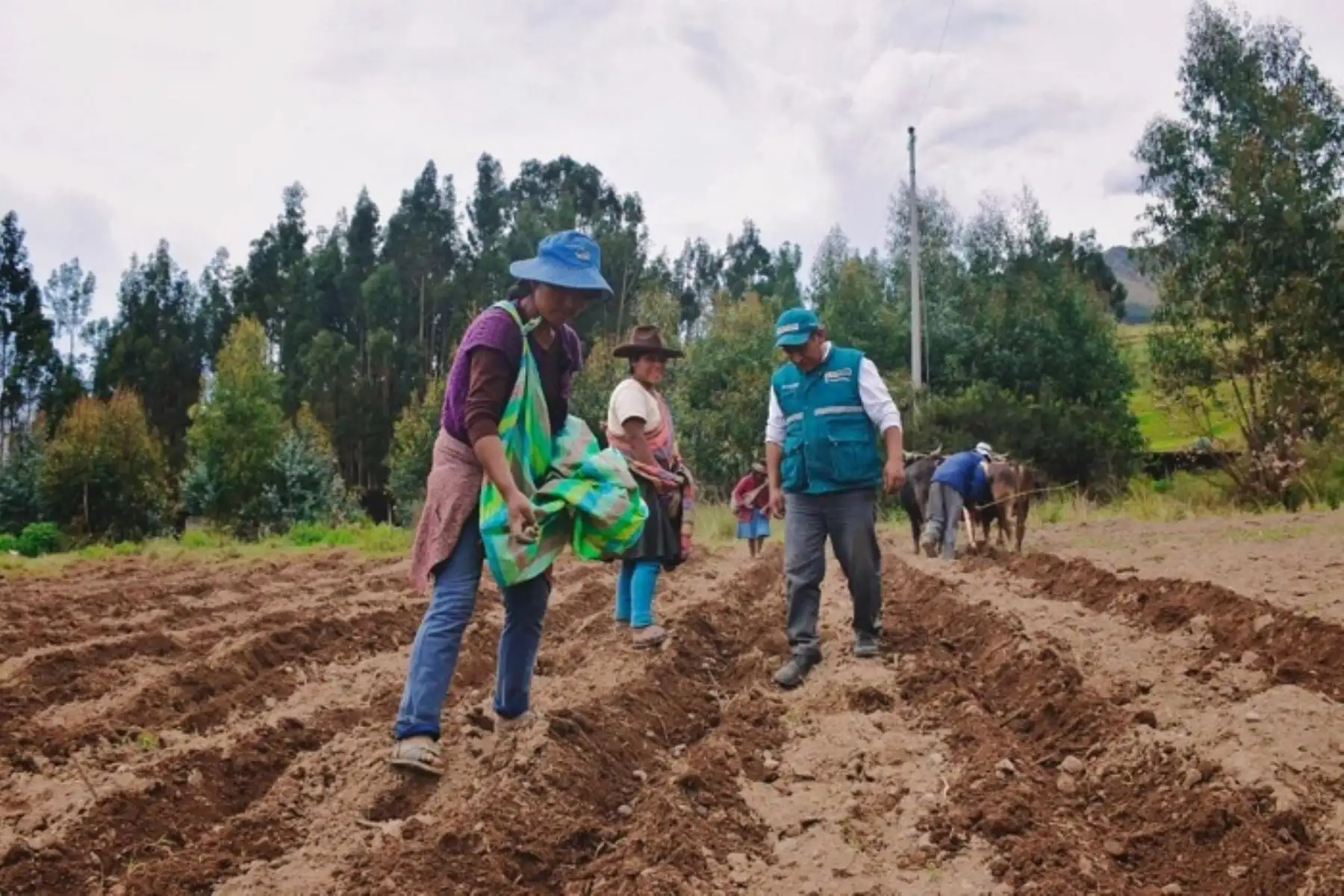 Midagri aprobó el funcionamiento del Sistema Catastral Rural para agilizar titulación.