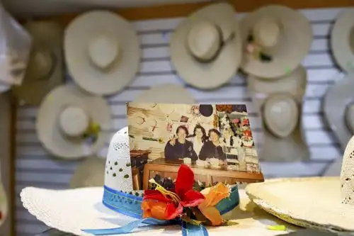 Foto: ANDINA/difusión.