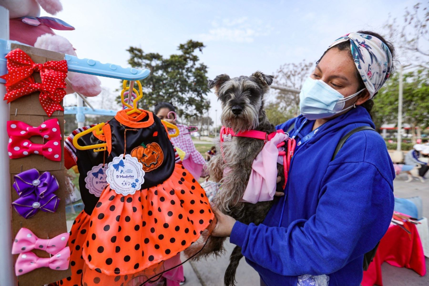 El festival canino se desarrollará de 2 p.m. a 5 p.m., tiempo en el que se espera beneficiar a cerca de 200 perritos con vacunas y la venta de productos para ellos. ANDINA